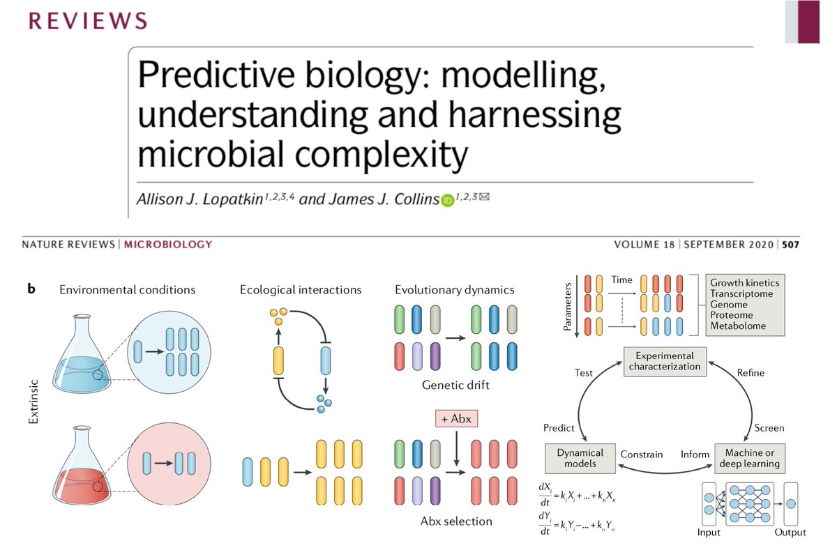 Is biology predictable? This is a hard problem, relevant across scales, from conservation to the human microbiome. Check this @NatureRevMicro paper by @AllisonLopatkin & James Collins. @BCNCollab @vdlorenzo_CNB @manlius84 @Daniel_R_Amor static1.squarespace.com/static/5c26495…