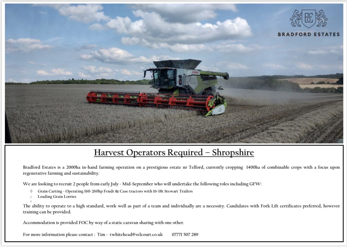 Matthew Carter tweet media