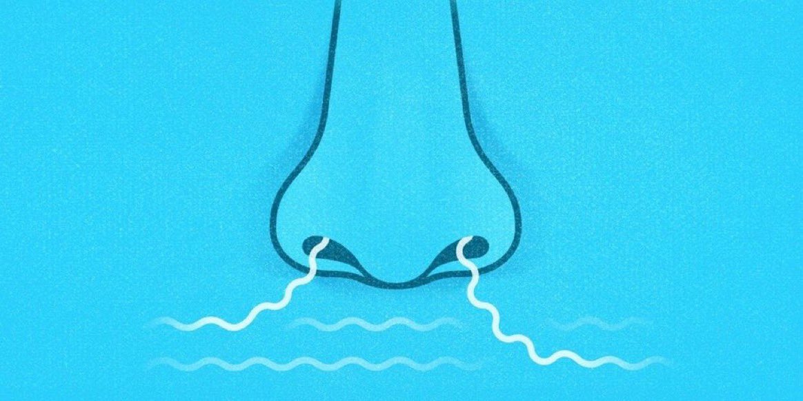 dreamsNscience's tweet photo. The olfactory system is one of the world’s best difference detectors, over time, even if the receptors in your nose pick up on a smell, your brain might start filtering it out as useless information if not new.
This is why you can’t smell your own body odor.

Credit & more: https://t.co/5q9w3PvJOg