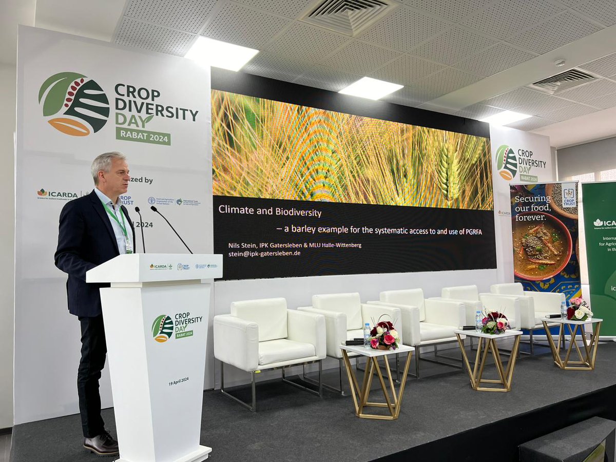 CropTrust's tweet photo. Genebanks often receive funding for storage, but there's a vital need for more research bridging genomics and breeding. 

#Genebanks require increased funding to evolve into expert and dynamic research hubs - @Nils__Stein from @LeibnizIPK at Crop Diversity Day in Rabat.

#SeedsToSolutions