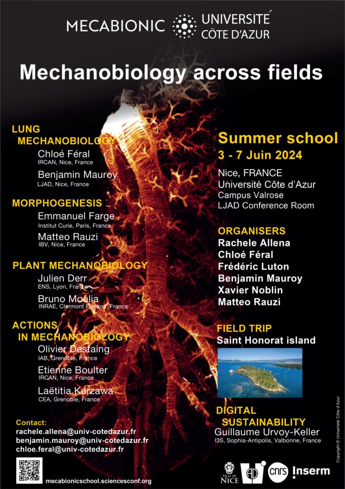 Registration for the @MECABIONIC Summer School is now OPEN!!! '#Mechanobiology across fields' mecabionicschool.sciencesconf.org