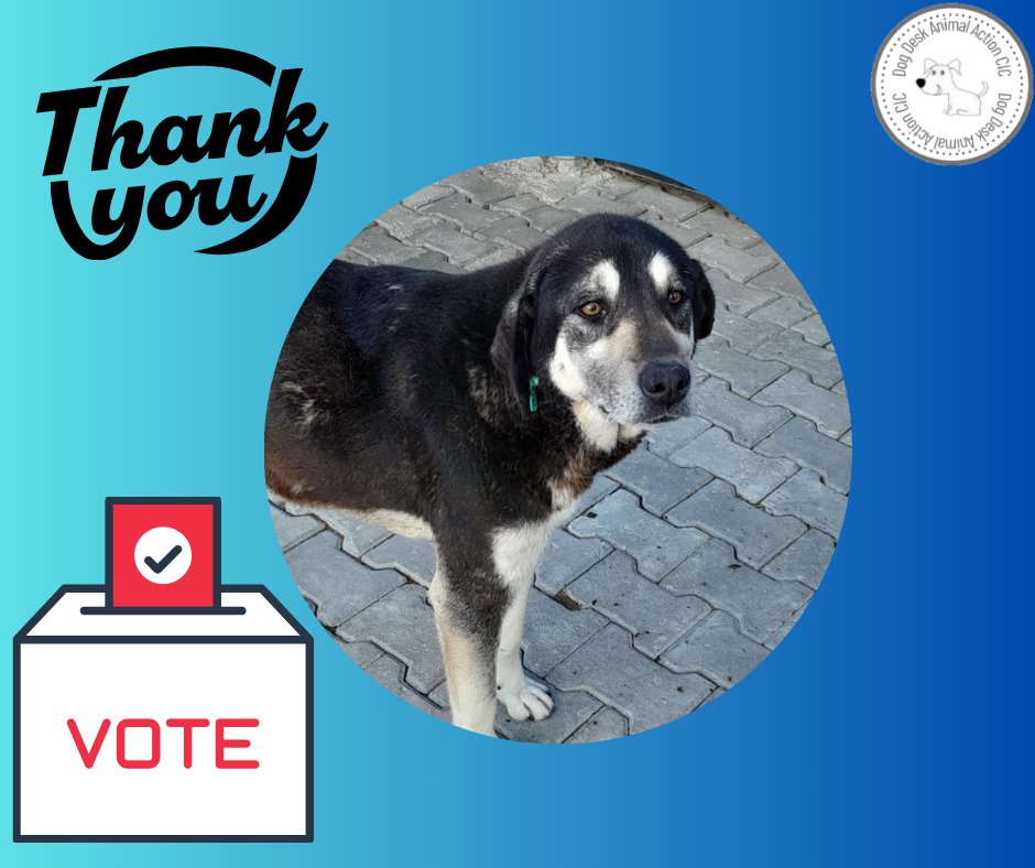 Have you voted this week? If you haven't please vote now 🙏 Click the blue link mygivingcircle.org/dog-desk-anima… Your vote can help us win a much needed grant #dogsoftwitter #dogsofx #dogs