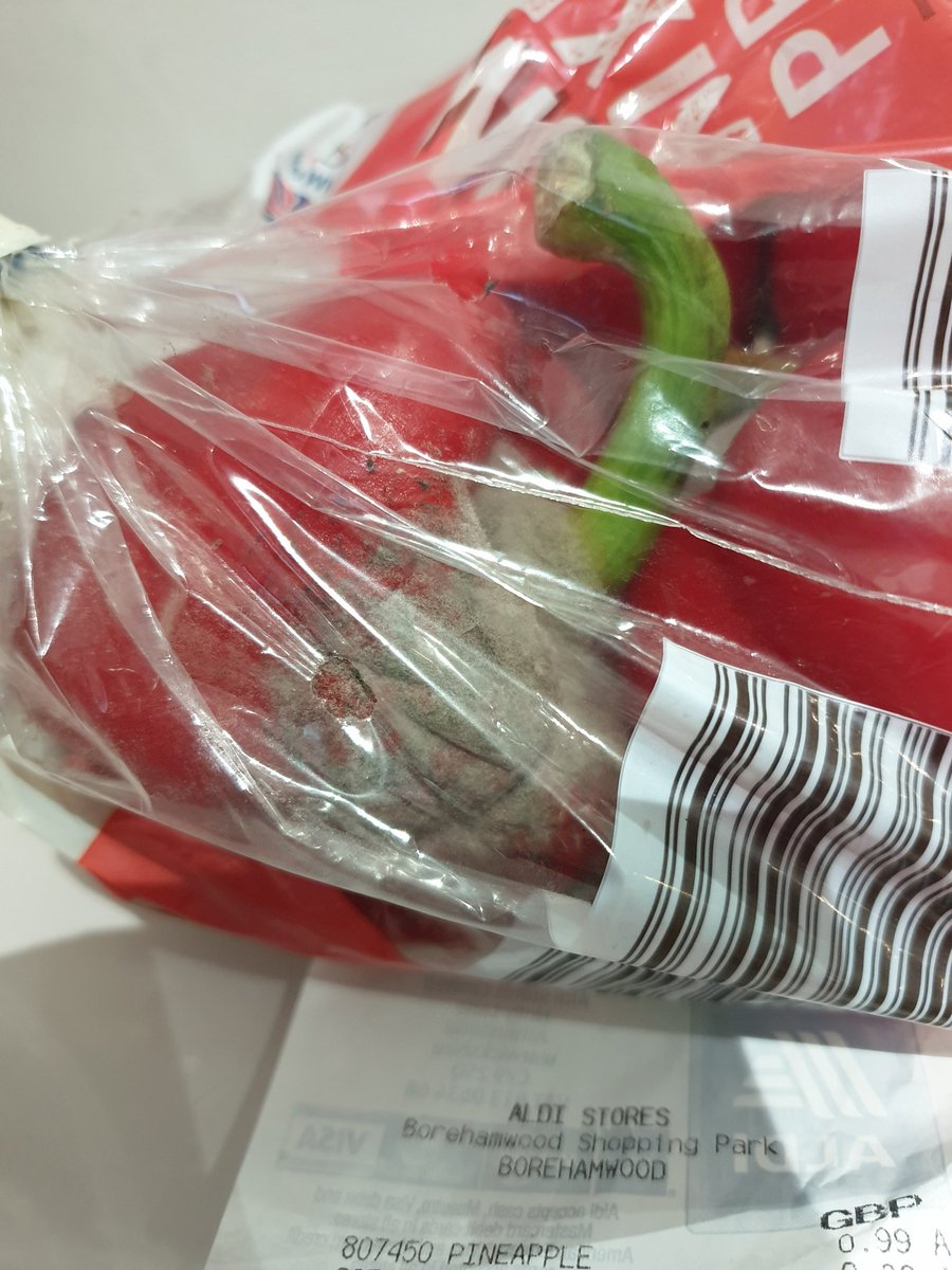 newtothis2012's tweet photo. Hi @AldiUK I did a few shops for a few dif ppl in ur stores yesterday got home and realised one of the bag of peppers are mouldy!! So gross but so annoying I can't get back to the shops for a while to return and totally didnt notice 😖😩 https://t.co/i4sPkIFeeS