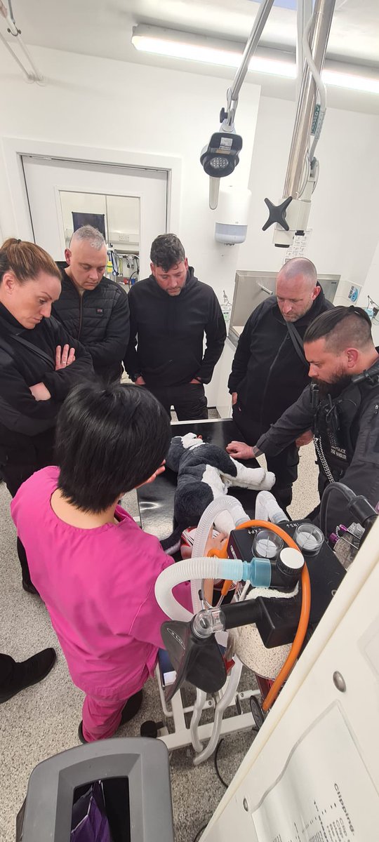 Humberside Police Dog Section tweet media