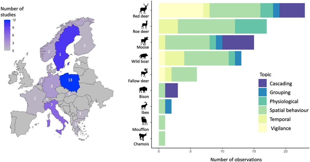 Do recolonising wolves trigger non-consumptive effects in European ecosystems? A review of evidence nsojournals.onlinelibrary.wiley.com/doi/10.1002/wl… #wolves #management #predation #review @NordicOikos @WileyEcolEvol