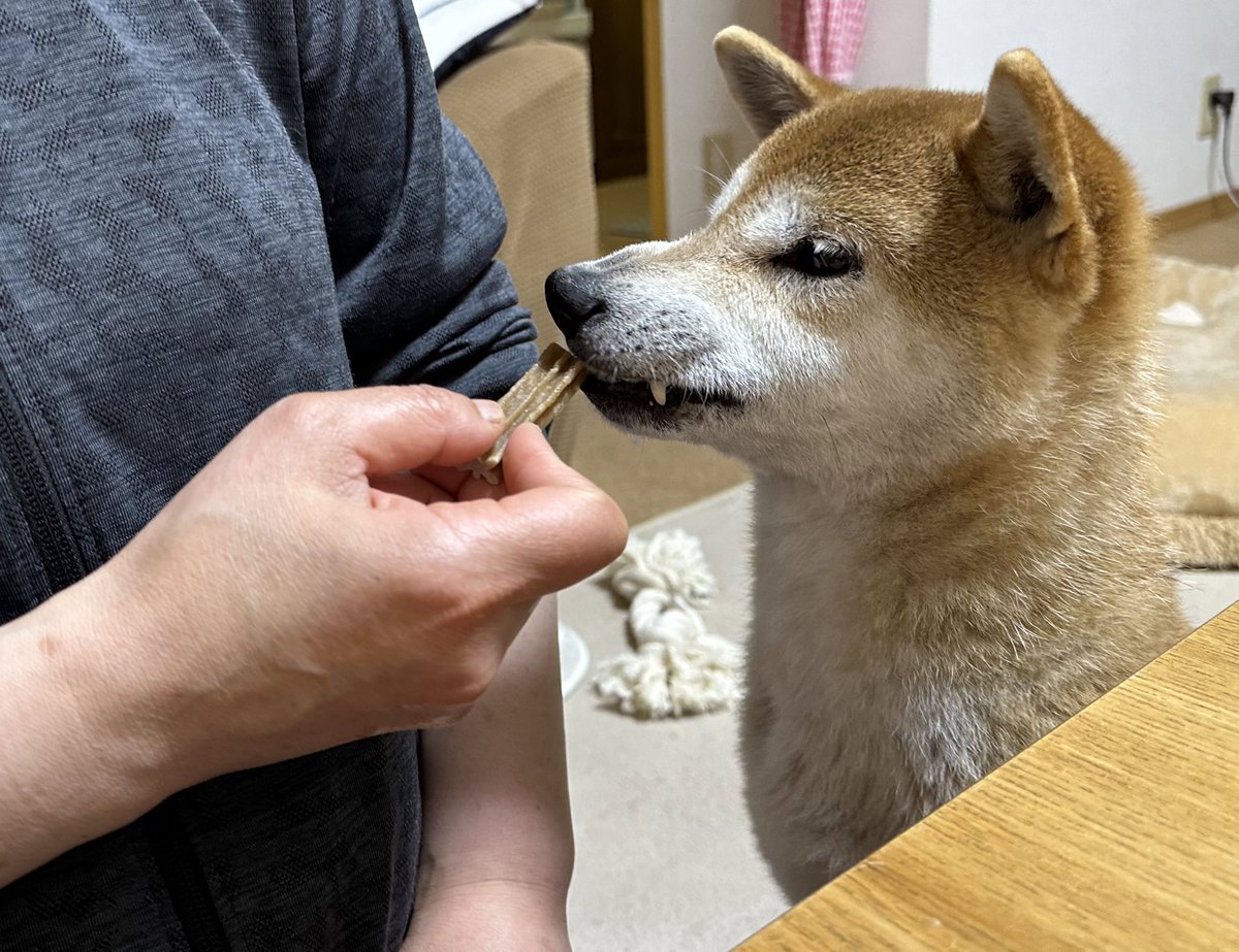 うみゃーけどかてーワン🥴💕🎶