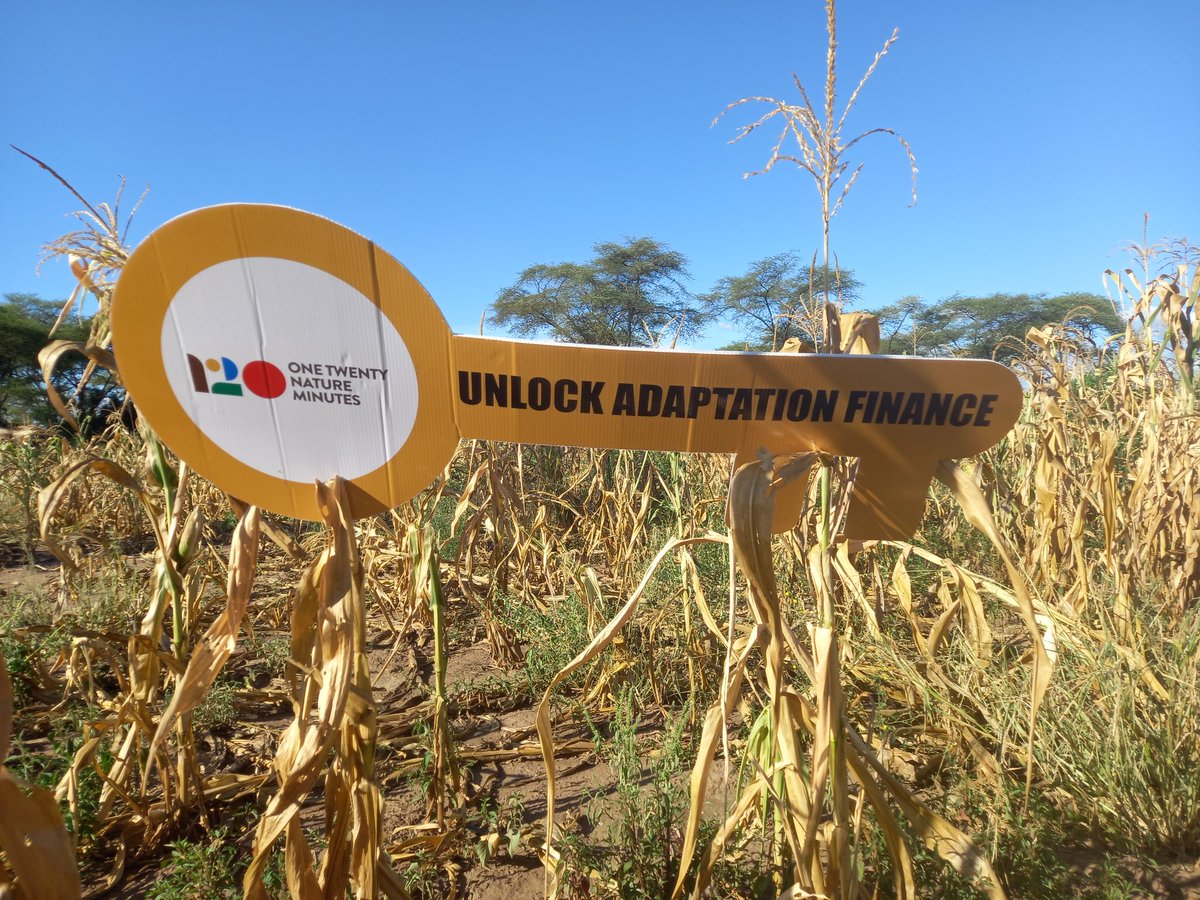 For every dollar invested in fossil fuels, we see the destruction of our environment, the intensification of droughts in Mbire, and the worsening of poverty in our rural communities #FixTheFinance @TheFeedZW @UNIZIMTRUST