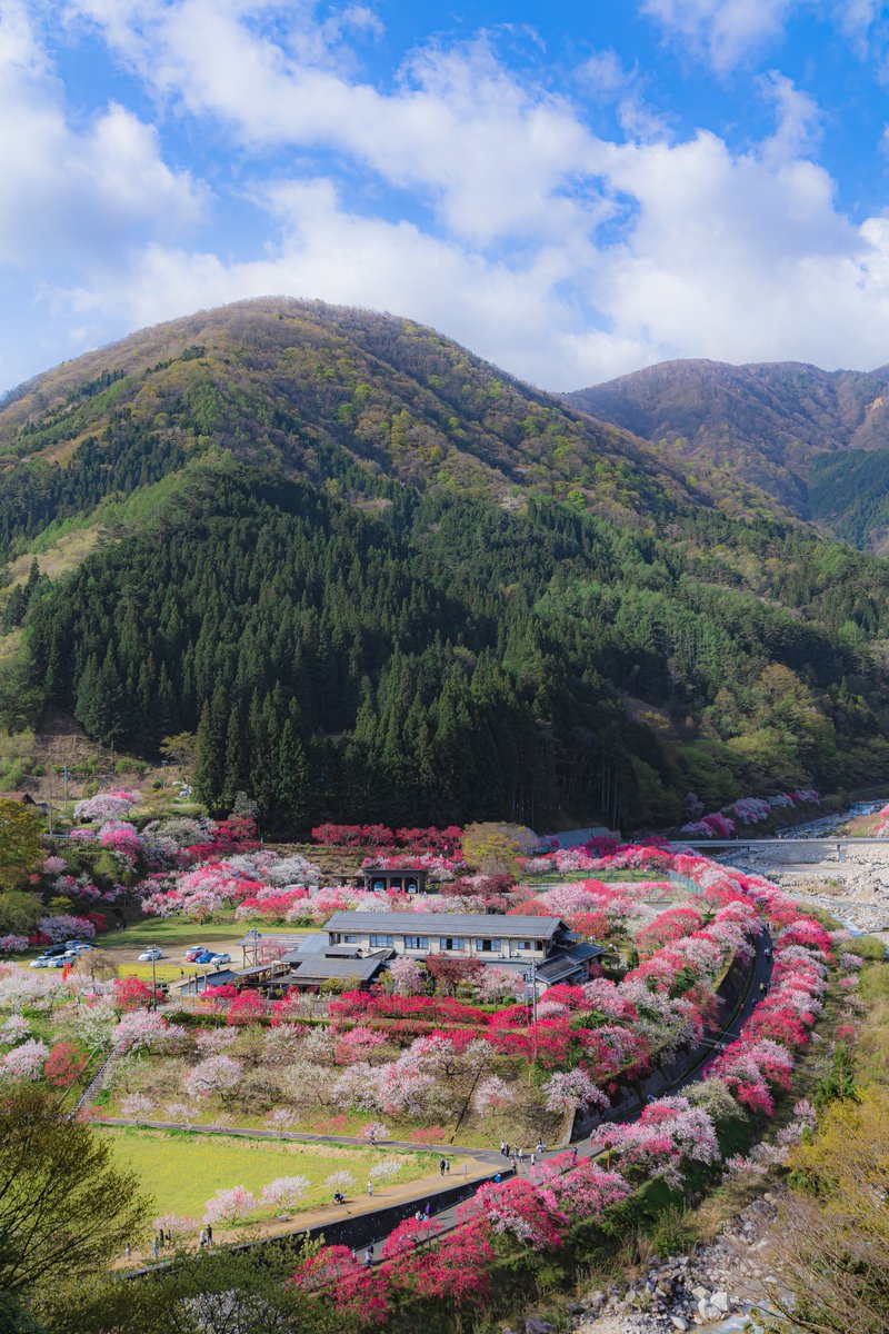 長野県の山奥にある桃源郷