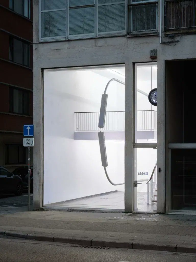 fakewhale tweet media