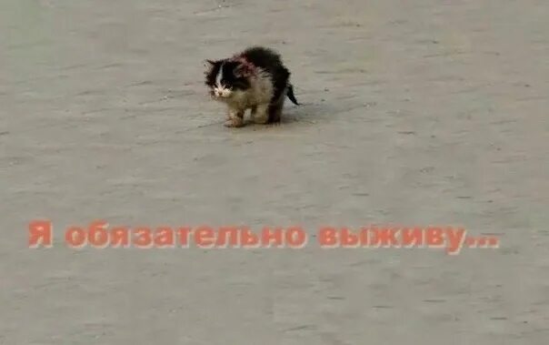 сегодня показали предварительное расписание экза по самому кринжовому предмету на летнюю сессию и мы сдаём его В ПОСЛЕДНИЙ ДЕНЬ
сука это ВЕСЬ МЕСЯЦ надо сидеть и трястись из-за него