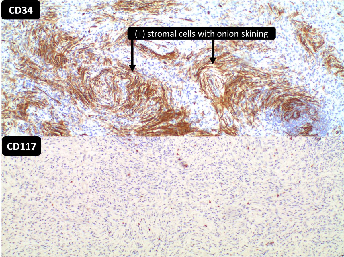 DrCycloPath tweet picture