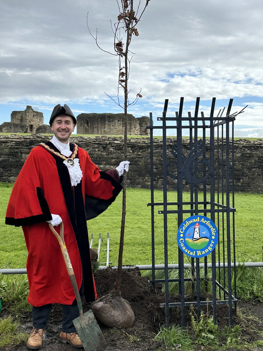 Lovely to be asked by @FCCcountryside to plant an oak tree outside #Flint Castle! Amazingly we timed it just as the rain stopped! Looking forward to watching the tree grow and provide a new habitat for wildlife at our cracking castle. @cadwwales @WalesCoastPath