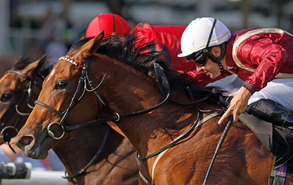 Rage of Bamby runs in the #WhitsburyManorStud Lansdown Stakes (Listed Race) this evening at @BathRacecourse (5:45pm) for @johnsonhoughton and @bishopcharlie12. She is a talented filly who has done well over the winter and it will be brilliant to see her back on the track!