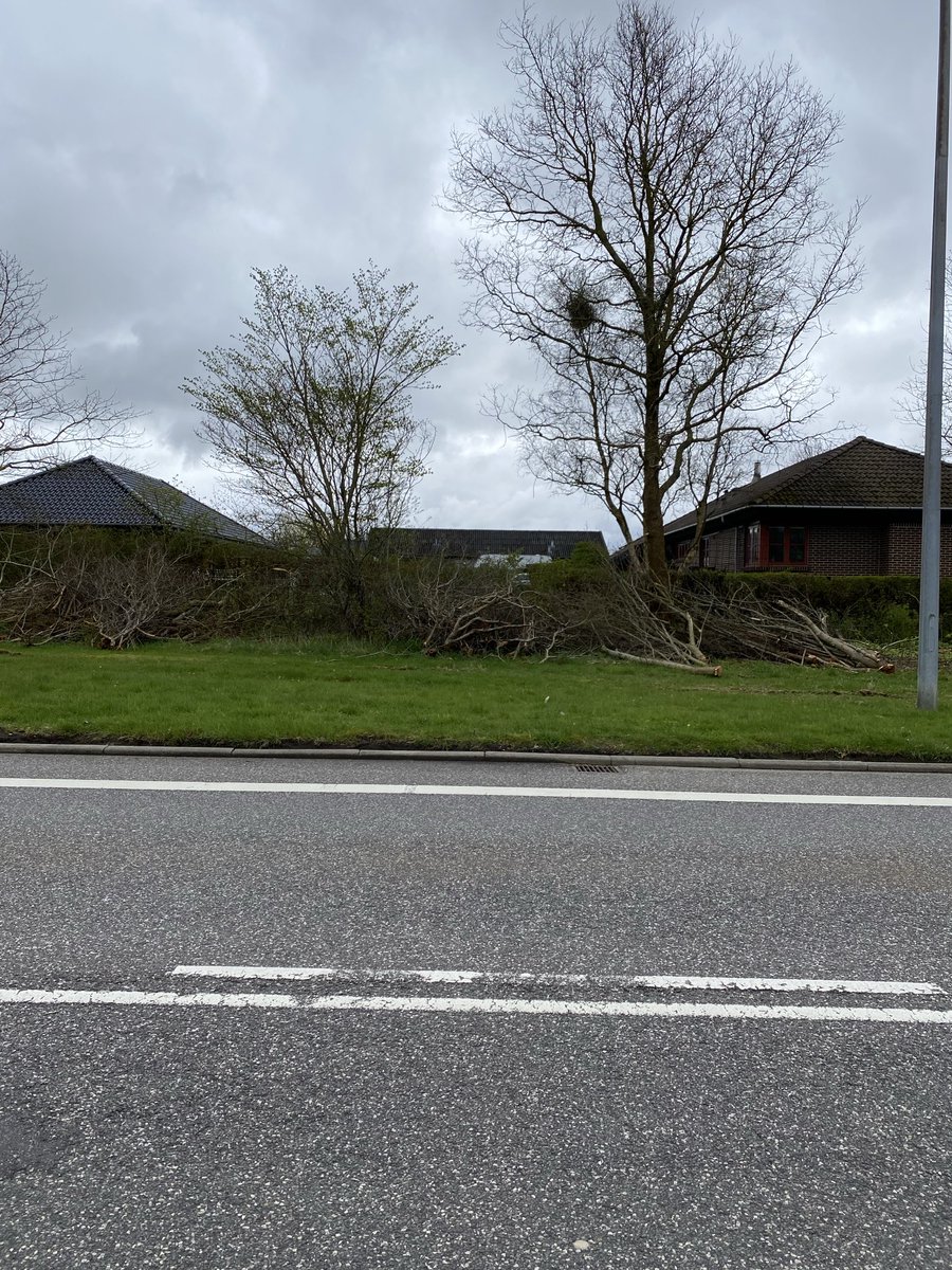 GulisGabriel's tweet photo. environmental protection in Danish context… one has to create bussiness oportunities, at least in this city they do it every spring quite heavily😥 https://t.co/iFWBGucR4k