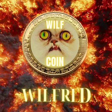 🔥🤑 $WILF 🤑🔥

We are celebrating the Burning of 10% $WILF Supply 🔥🔥🔥

*Follow @wilfcoinSOL
*Like and RT
* Comment SOLADDRESS
*Tag 3 friends

Or join our community
t.me/the100xgain