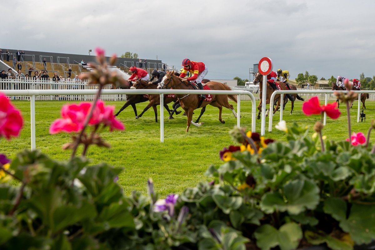 FREE ENTRY FOR CENTENARY CELEBRATIONS🎩 Naas RC will be celebrating a century of racing excellence on our Royal Ascot Trials Day, 19th May The best 1920’s inspired outfit on the day will win a VIP Day at Naas & an overnight stay @LawlorsNaas Read more👉 bit.ly/3xKxv32