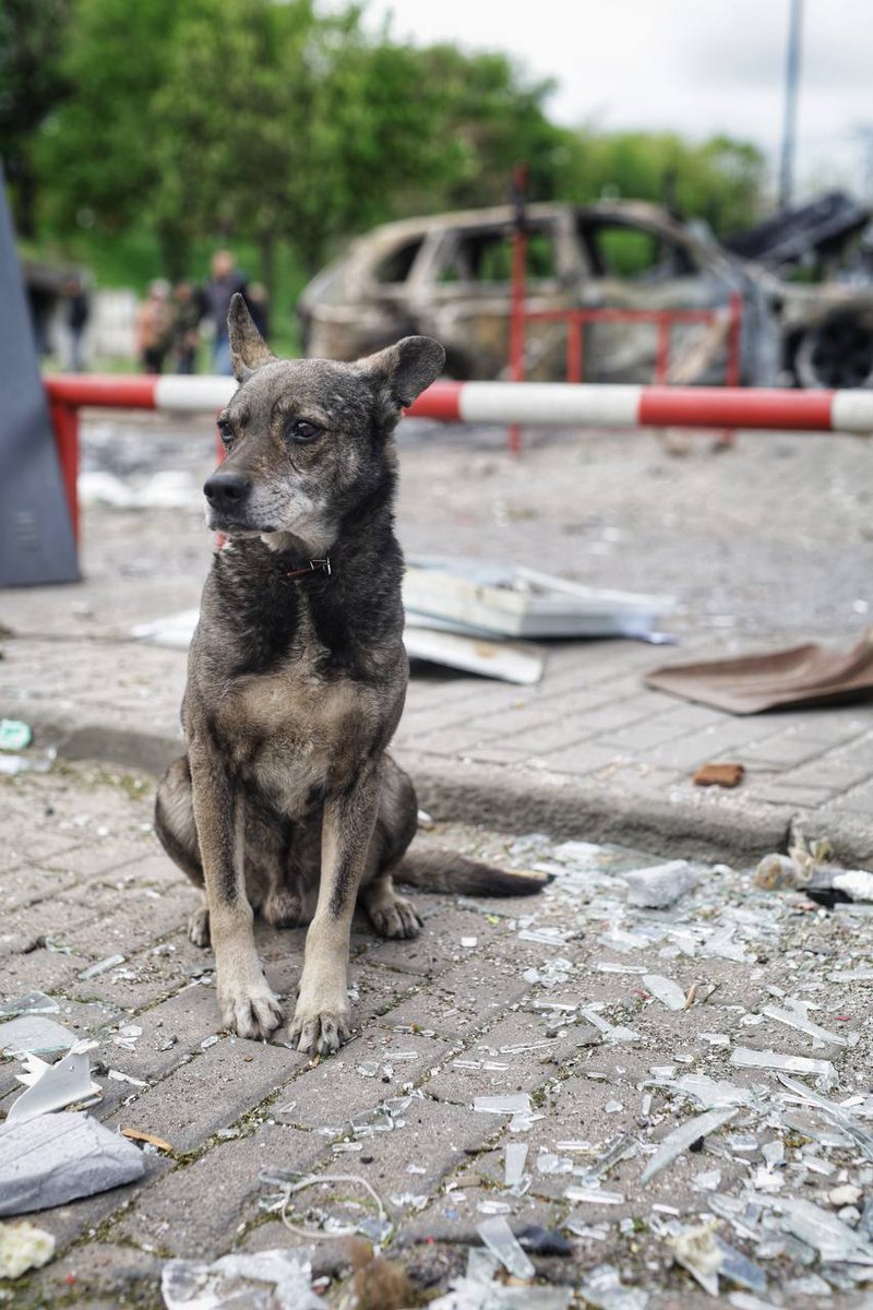 Karå 🇺🇦 tweet media