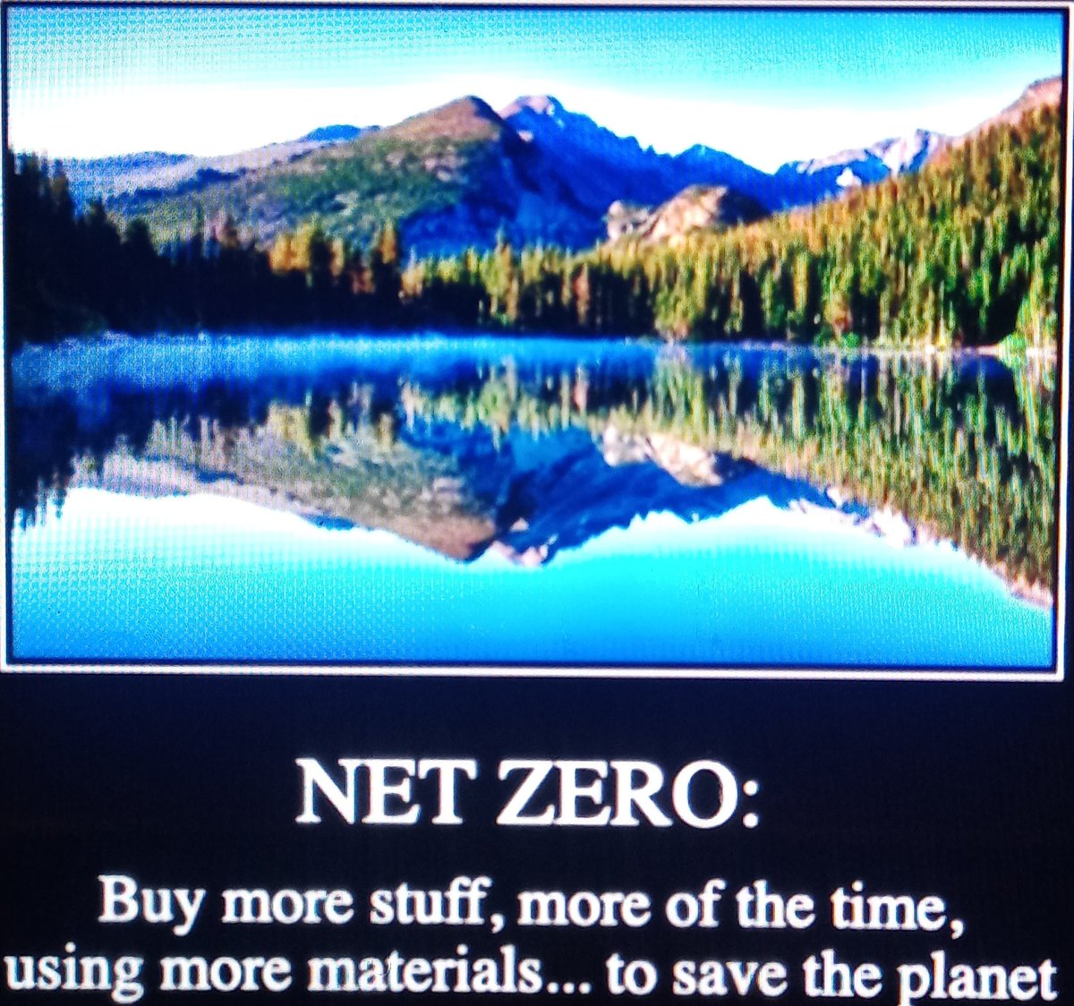 #NetZero #NetZeroScam