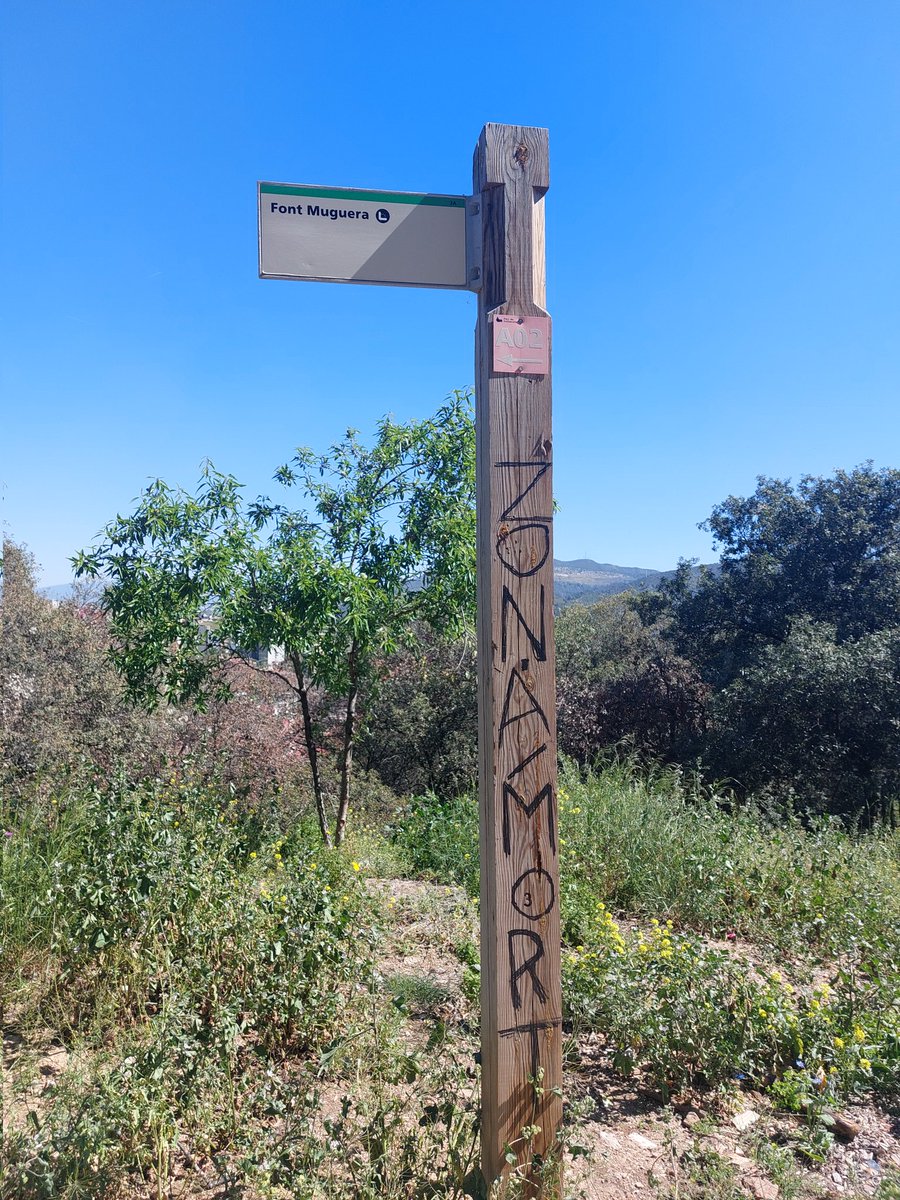 LlaseraMonica's tweet photo. Amb motiu de la Setmana de la Gent Gran hem fet una activitat conjunta "mou-te x la memòria" i relaxació amb la psicologa Ana Olaso @apicsbcn #CAPCiutatMeridiana @Kilian31997422 @OlgaMuoz11 @MuntaneM @Fitoaula #gentgran #ZonaNord https://t.co/fCZcNVfn68