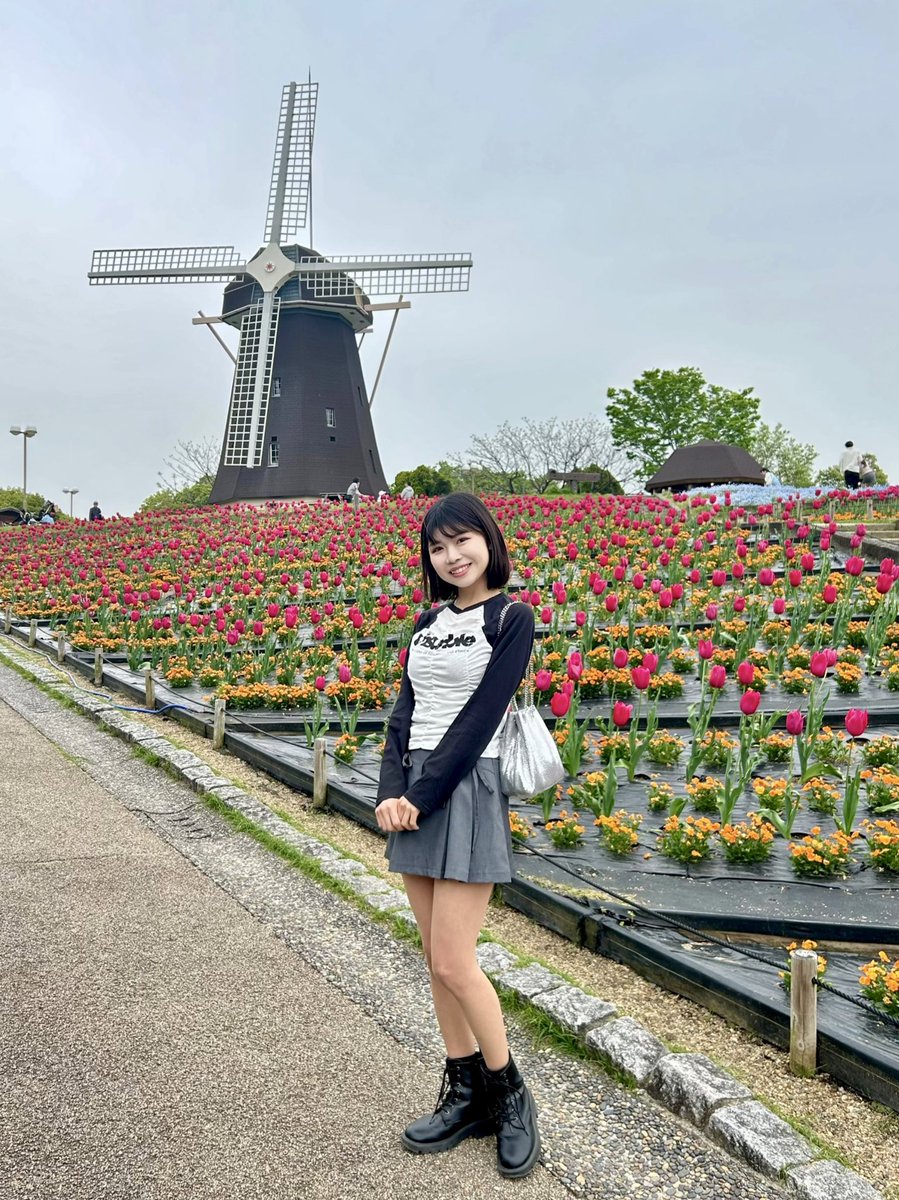 風邪とチューリップ🌷
いつかオランダ行ってみたいな🇳🇱