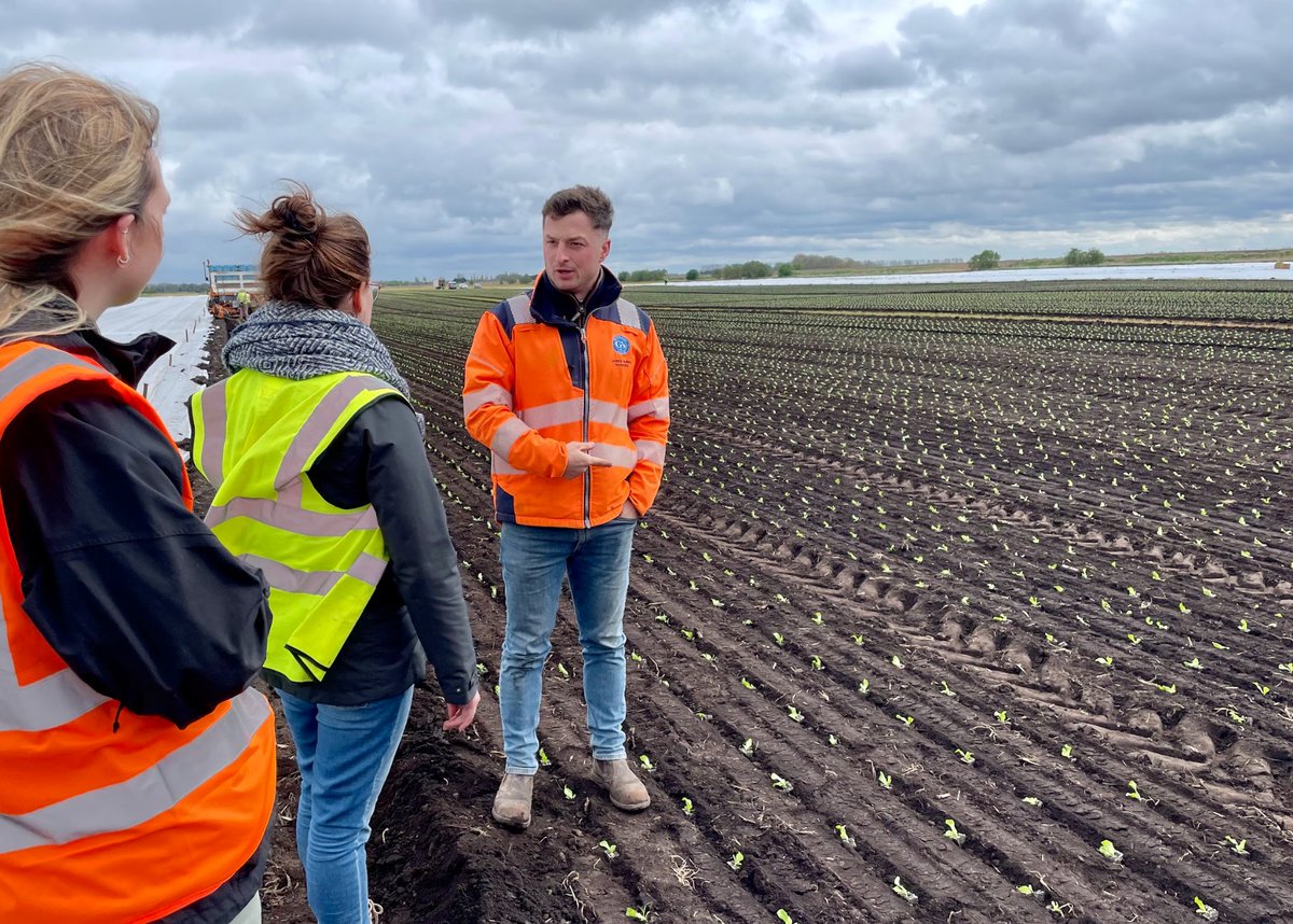 NouriSol tweet media