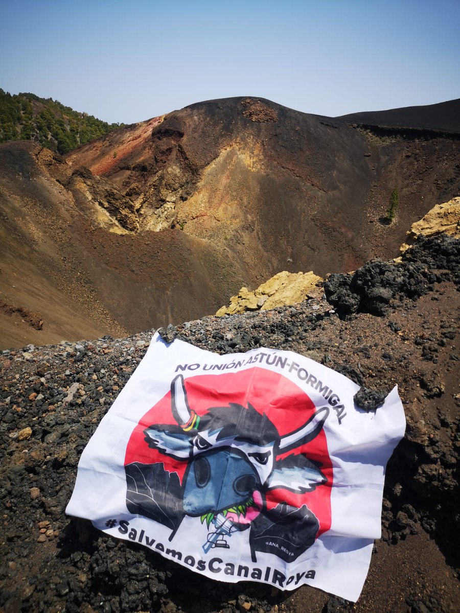 Nuestra #Anayeta, la vaca más viajera, se pasea por los volcanes de la isla de La Palma. Y desde allí nos recuerda la necesidad de defender nuestras montañas. Quieren destruir Anayet y el maravilloso valle de la #CanalRoya, pero no sé lo vamos a permitir #SalvemosCanalRoya