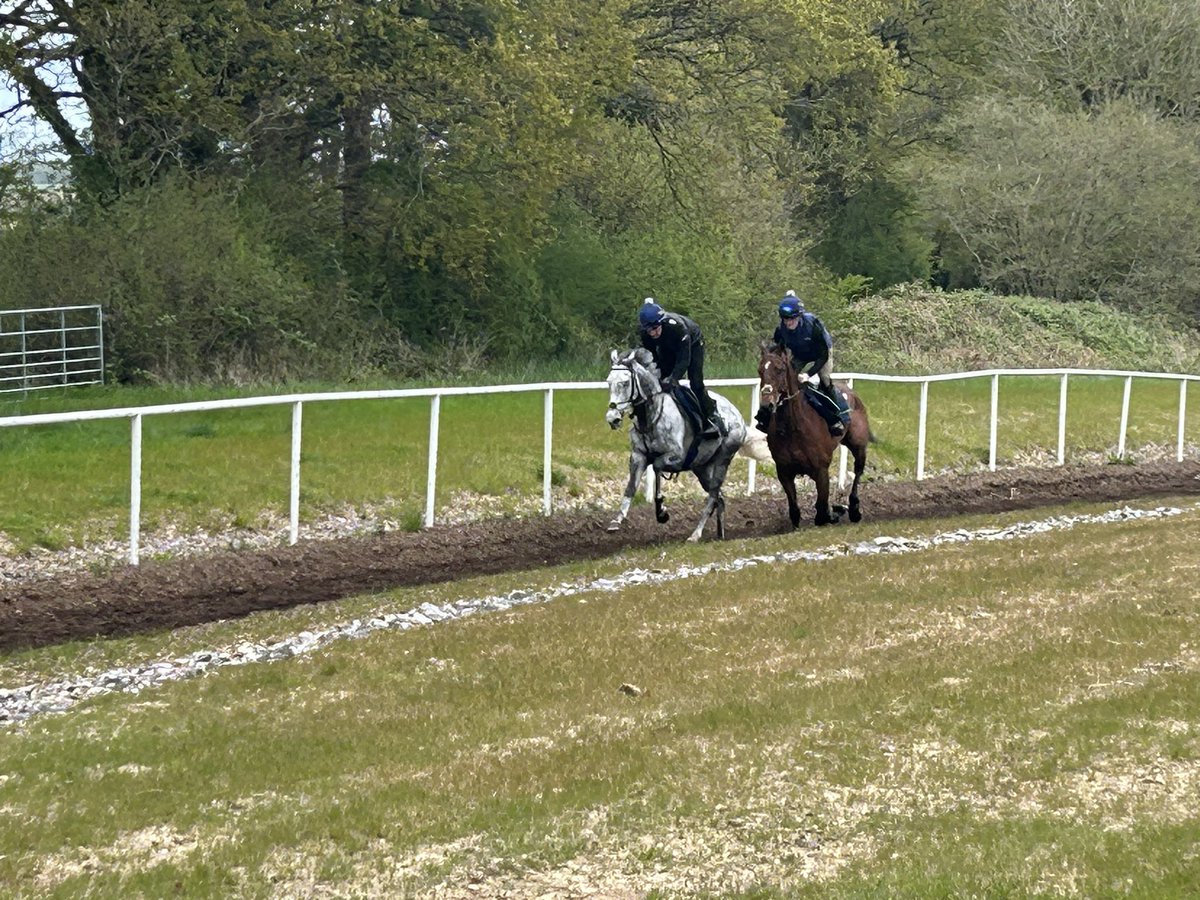 ROA members enjoyed a brilliant visit to the stables of @Harry05Derham this morning.