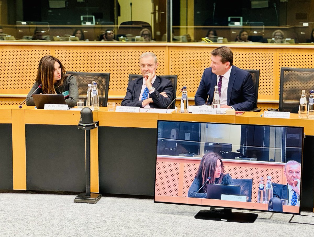 🇪🇺 🇺🇦 Honoured to join last week’s European Parliament panel on the future of #EU #sanctions, with European Commissioner @McGuinnessEU, EU Sanctions Envoy @D0Sullivan, Ukraine’s Presidential Office sanctions lead @vladvlas, MEP @BartGroothuis, @FabricePothier & @DaraMurphyEPP