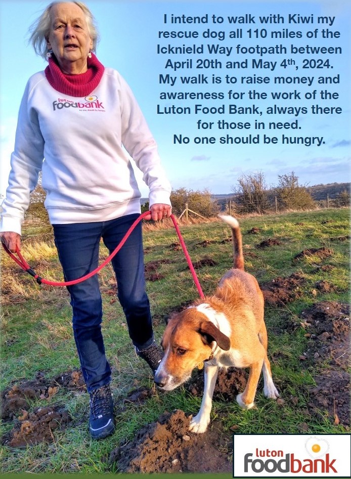 Our members don't just sing! Best of luck to Maggie (Alto 2), who is walking the Icknield Way with her dog Kiwi for @LutonFoodbank - please support her: justgiving.com/campaign/maggie #NoChildShouldGoHungry Sing as you walk, Maggie!