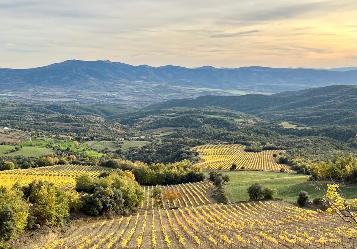 ¡Nuestro proyecto SOMID, incluido en la guía '50 buenas prácticas de enoturismo sostenible' de @rutasvinoespana ! ¡También el proyecto 'No te lo puedes perder' de la @RVSomontano y 'E-nociclismo en Somontano' de @BodegaSommos 👏+info: acortar.link/h3Pze8