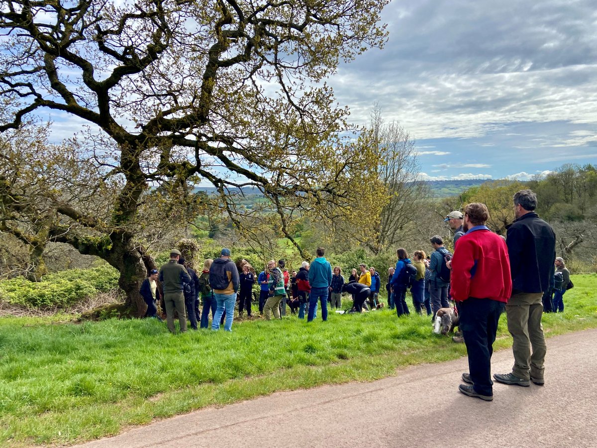 Thank you to everybody who attended the rescheduled ATF National Field Meeting at Ashton Court yesterday. What a fantastic day we had!