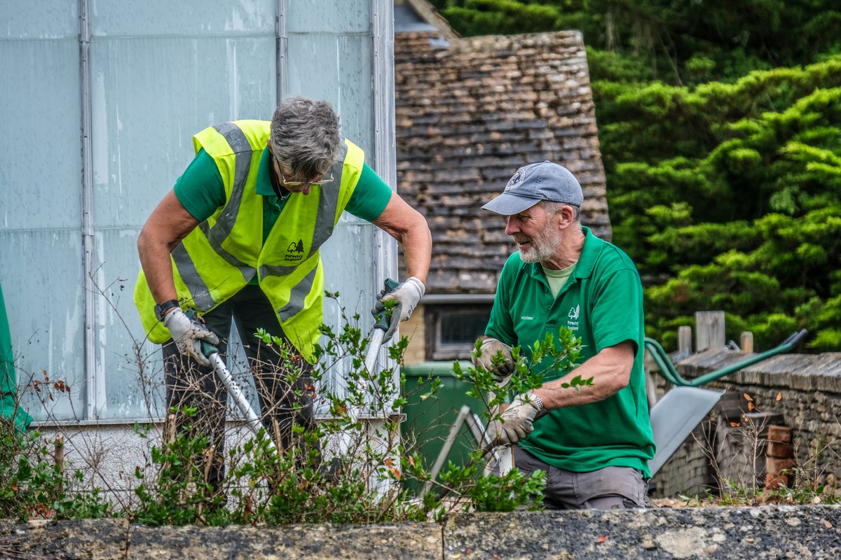 Westonbirt relies on the help of our team of dedicated volunteers. To celebrate #VolunteerRecognitionDay we say a big THANK YOU to all of our volunteers ❤️ 🔗 forestryengland.uk/westonbirt/vol…