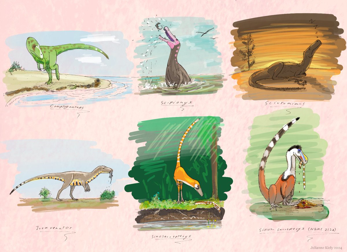 For #FossilFriday here's a selection of completely unrelated theropods!
#paleoart #paleontology #dinosaurs