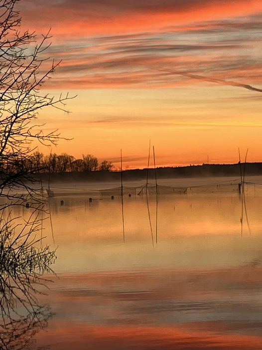 Good morning! Sunrise at Gagetown New Brunswick photographed by LJ Nearing. The netting connected to poles may be a tidal Weir net system used to trap fish in the Bay of Fundy or rivers that feed into it. I'm not sure but that's what it looks like..