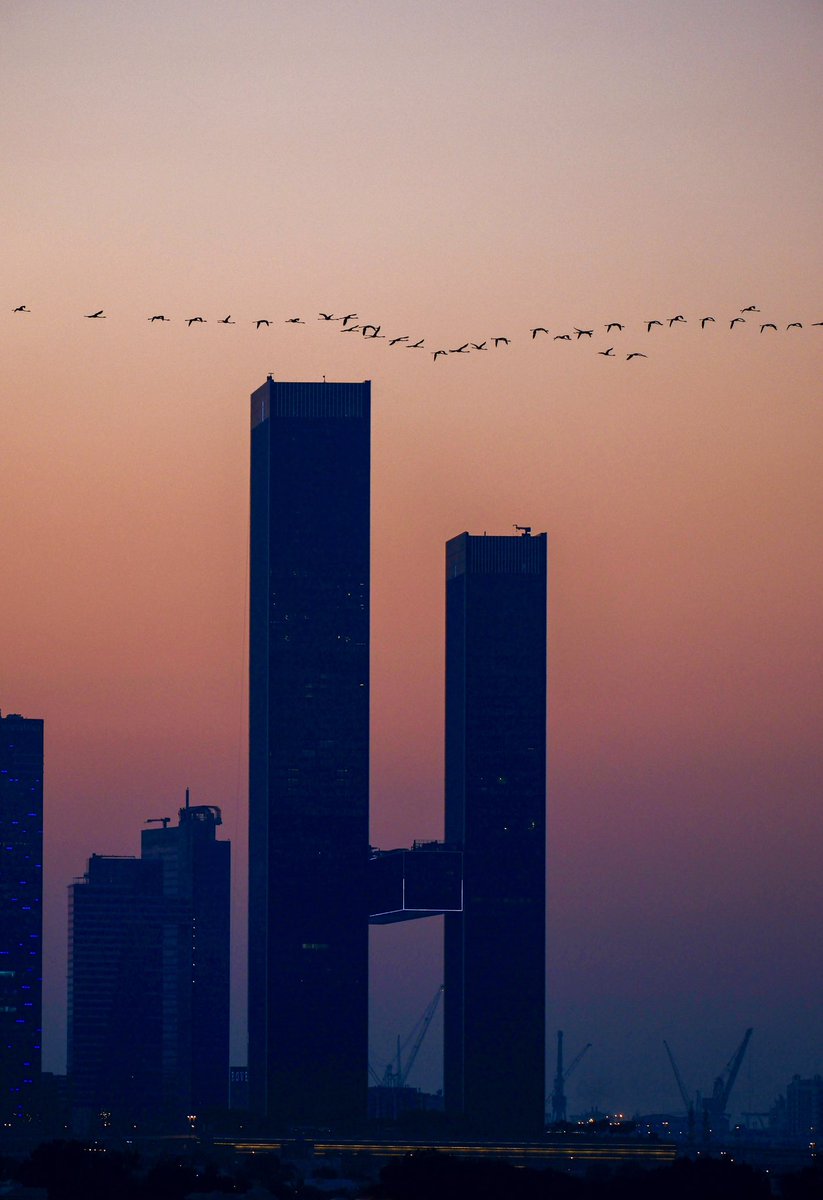 ALJVD1's tweet image. 