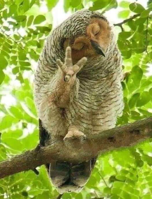 Why are you at gym ka nako ya spane?

Me: