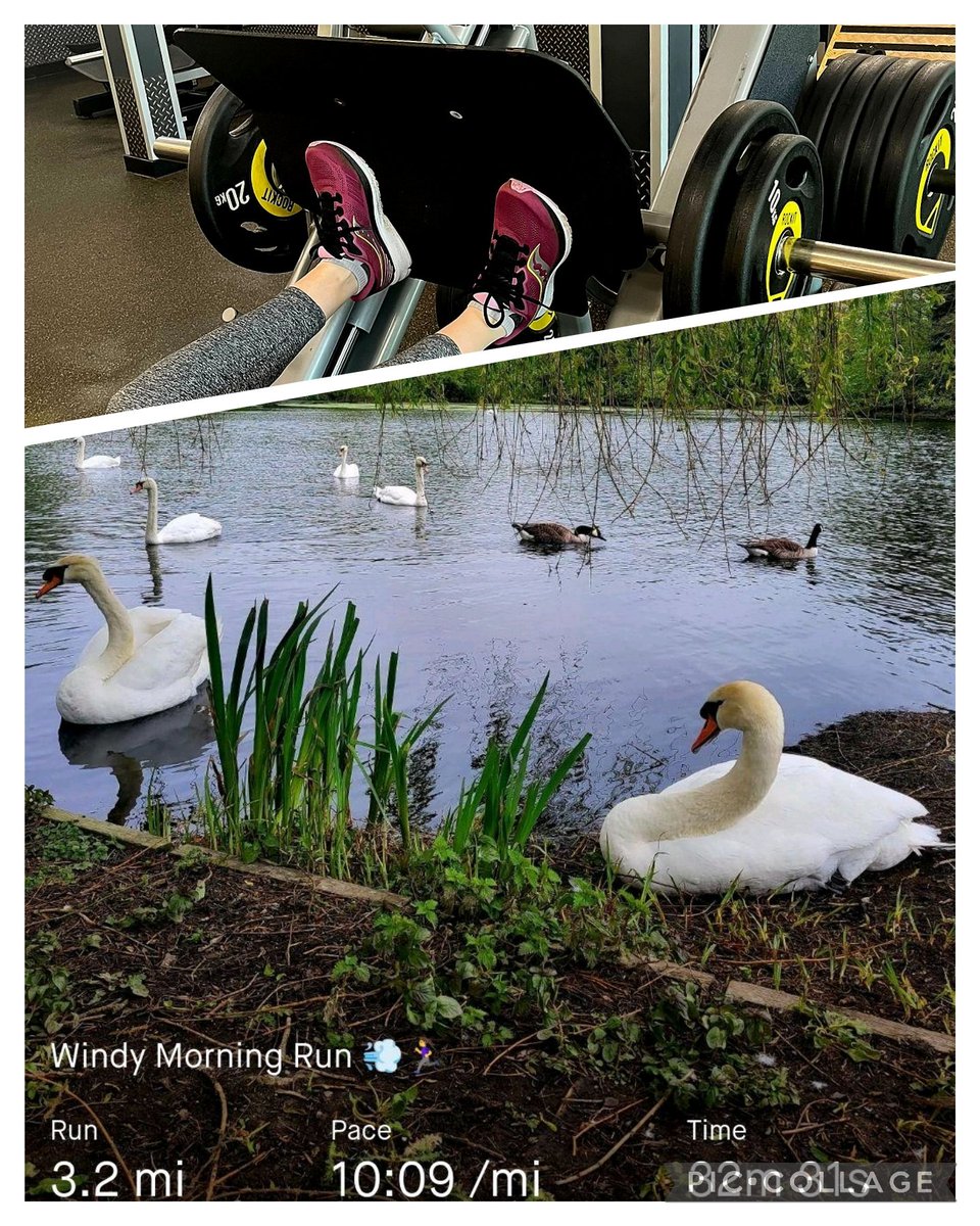 Morning PT, mainly legs today 🏋‍♀️ I get a whole hour to talk about running without one eye roll 🙄👏😁 followed by a few loops around my lake 👌 #FridayFun #running 🏃‍♀️
