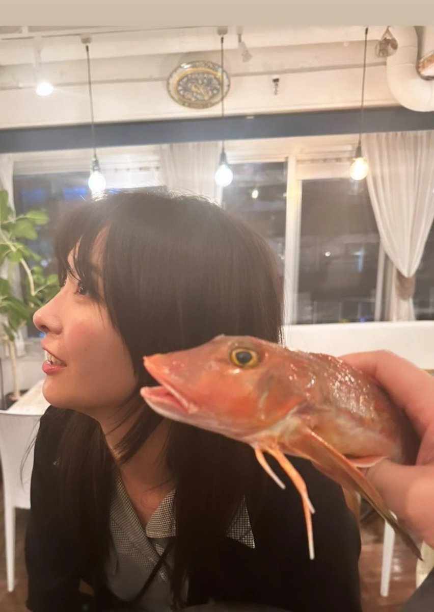 yamasakimami920's tweet photo. グラビア20年お疲れ様！ってご馳走していただいたホウボウに似てるって言われた日。
前に動物だと何顔？って皆さんに聞いたことあるけど、もしかしたら魚顔なのかもしれない☺ https://t.co/ETvITbyNTn