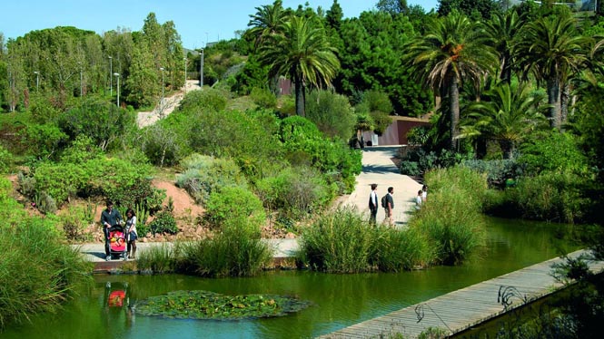 Barcelona’s Jardí Botànic opened in 1999 and will be celebrating its 25th anniversary this month! 🎂 To mark this special occasion, we invite you to enjoy an open day, full of activities. Make a note in your diary: Sunday 21st! 🪴🔽 @museuciencies bit.ly/3w14kbl