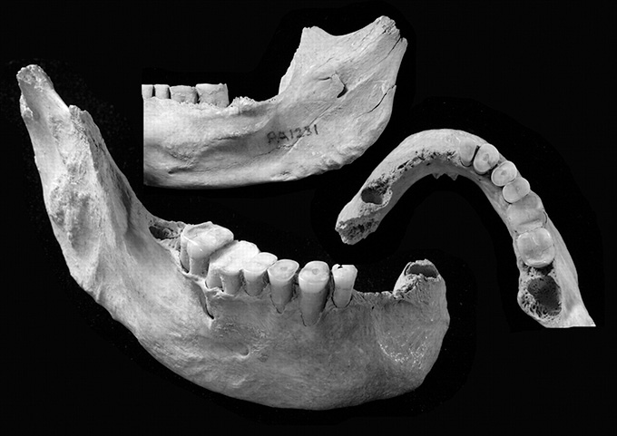 Ancient 'Homo sapiens' fossils from China are rare. One example, a roughly 40,000-year-old partial skeleton that includes this lower jaw, comes from a cave located 56 kilometers southwest of Beijing.

sciencenews.org/article/artifa…