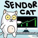 Photo by $SENDOR (@SendorCat)