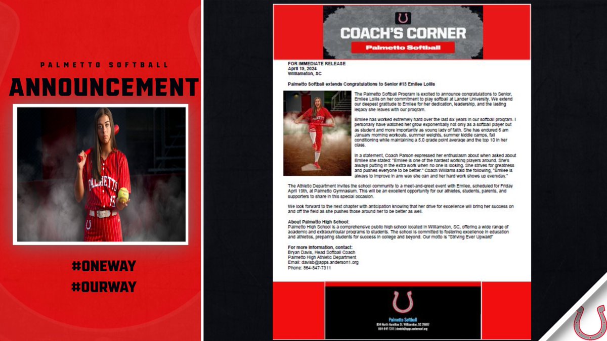 Palmetto Softball tweet media