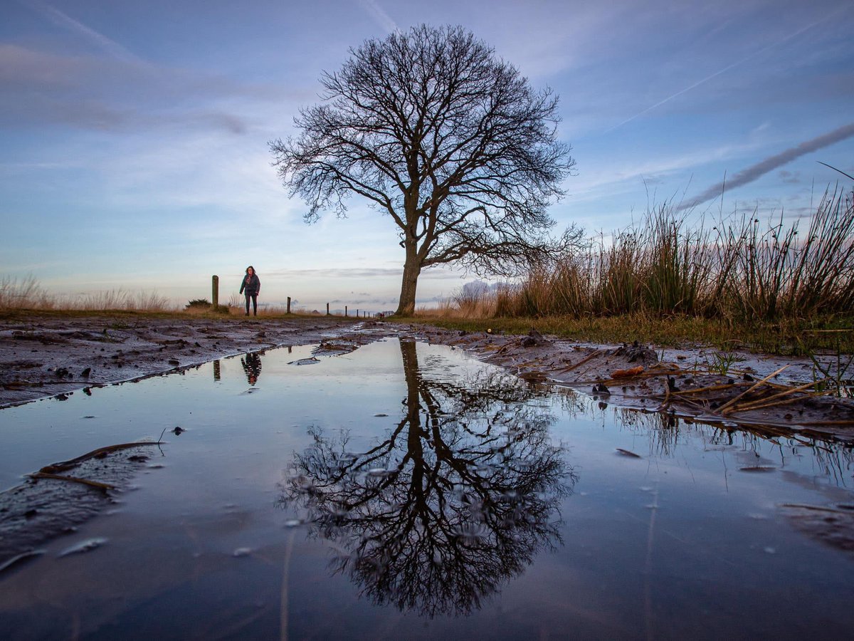 P is for.....
 #Perfect #Path along a #Peaceful #Puddle

#AlphabetChallenge #WeekP
#Reflections