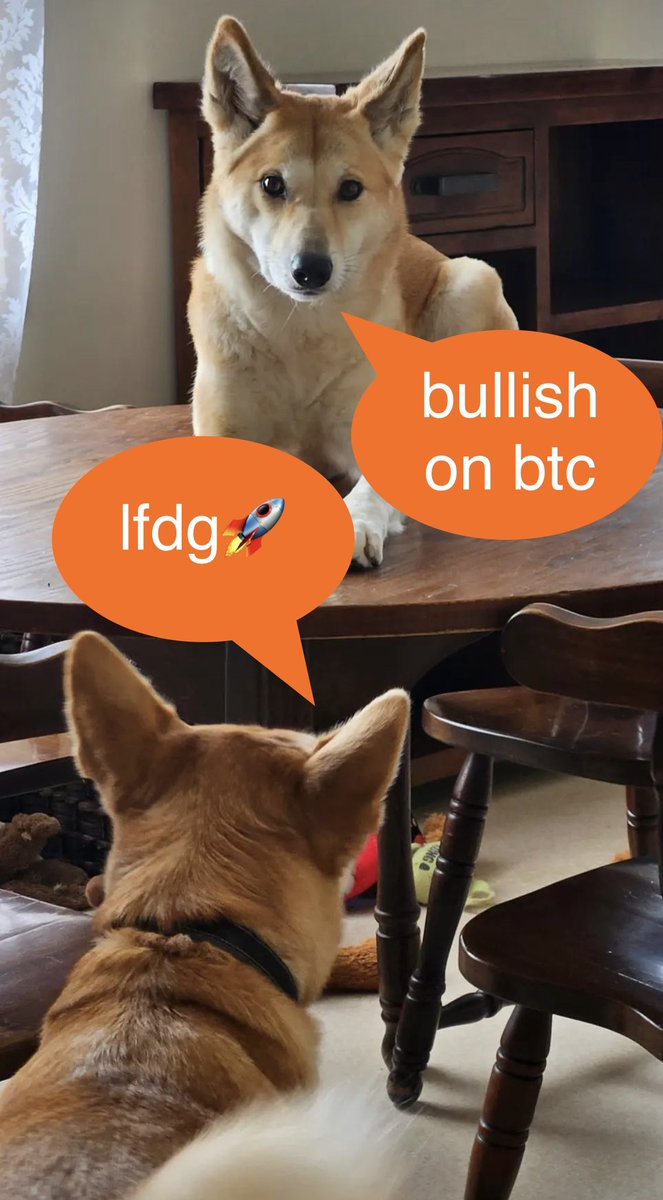 bullish on #btc #lfdg🚀