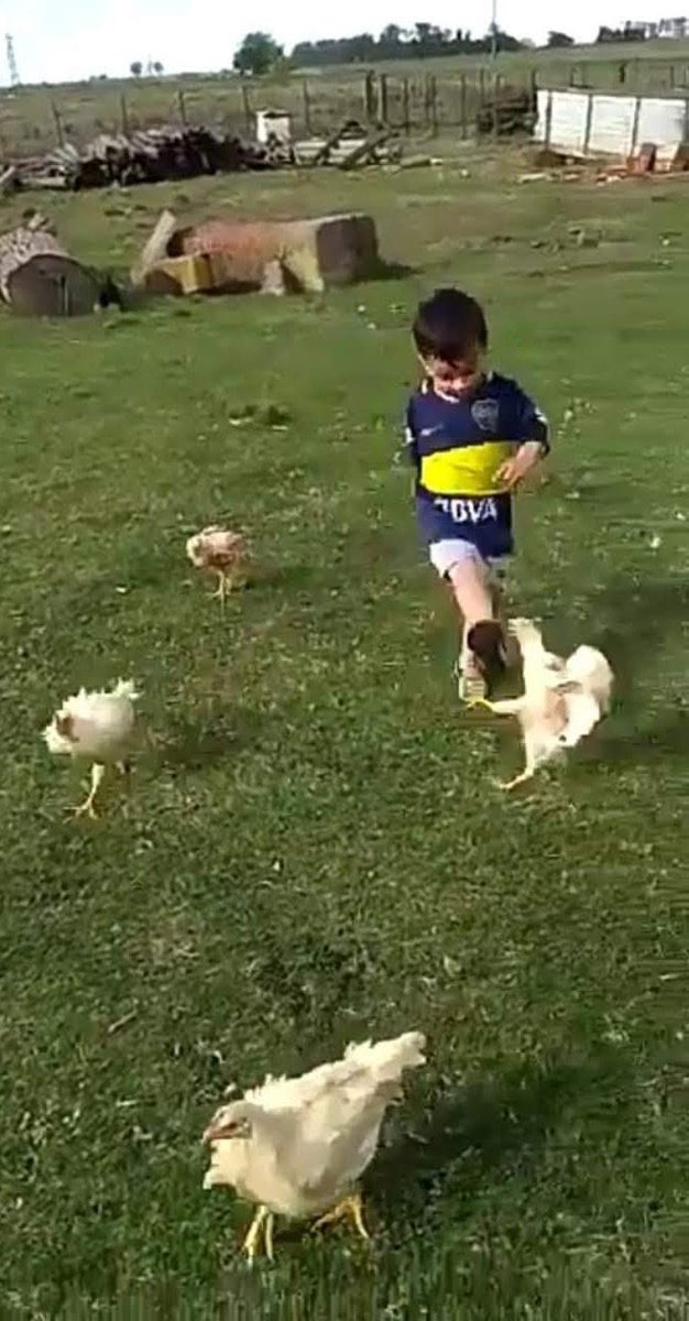 2 días gallina puta