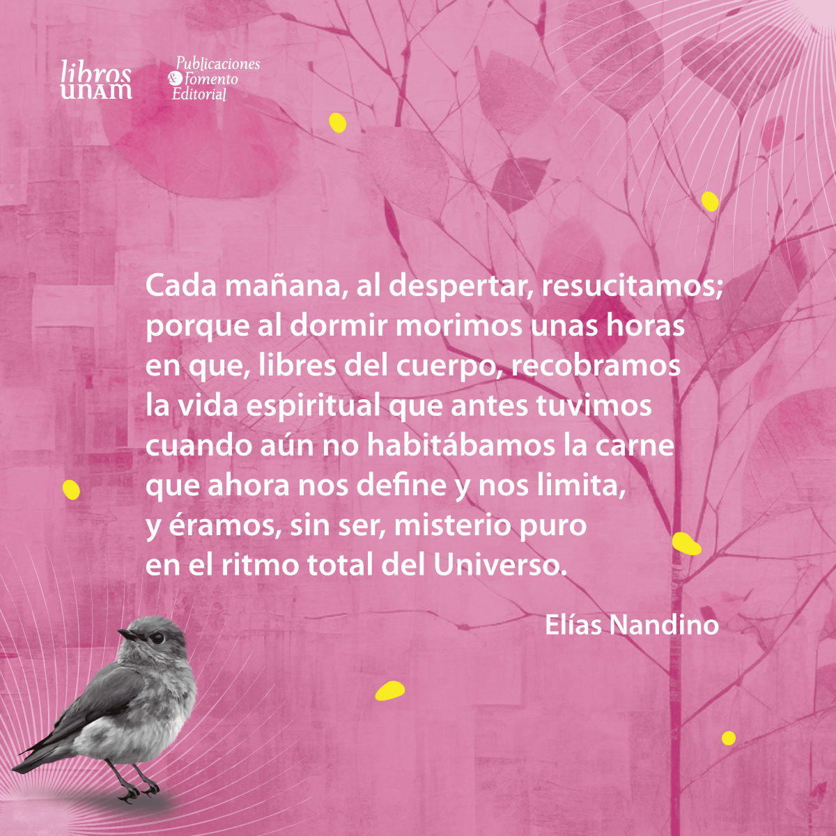 ✨ Hace 124 años nació el poeta y médico mexicano Elías Nandino, autor de «Espejo de mi muerte», «Erotismo al rojo blanco», entre muchos otros títulos. 🥳 Conmemoramos su natalicio con este artículo sobre su vida y obra, publicado en @revista_unam ➡️ bit.ly/49IzFx6 📚