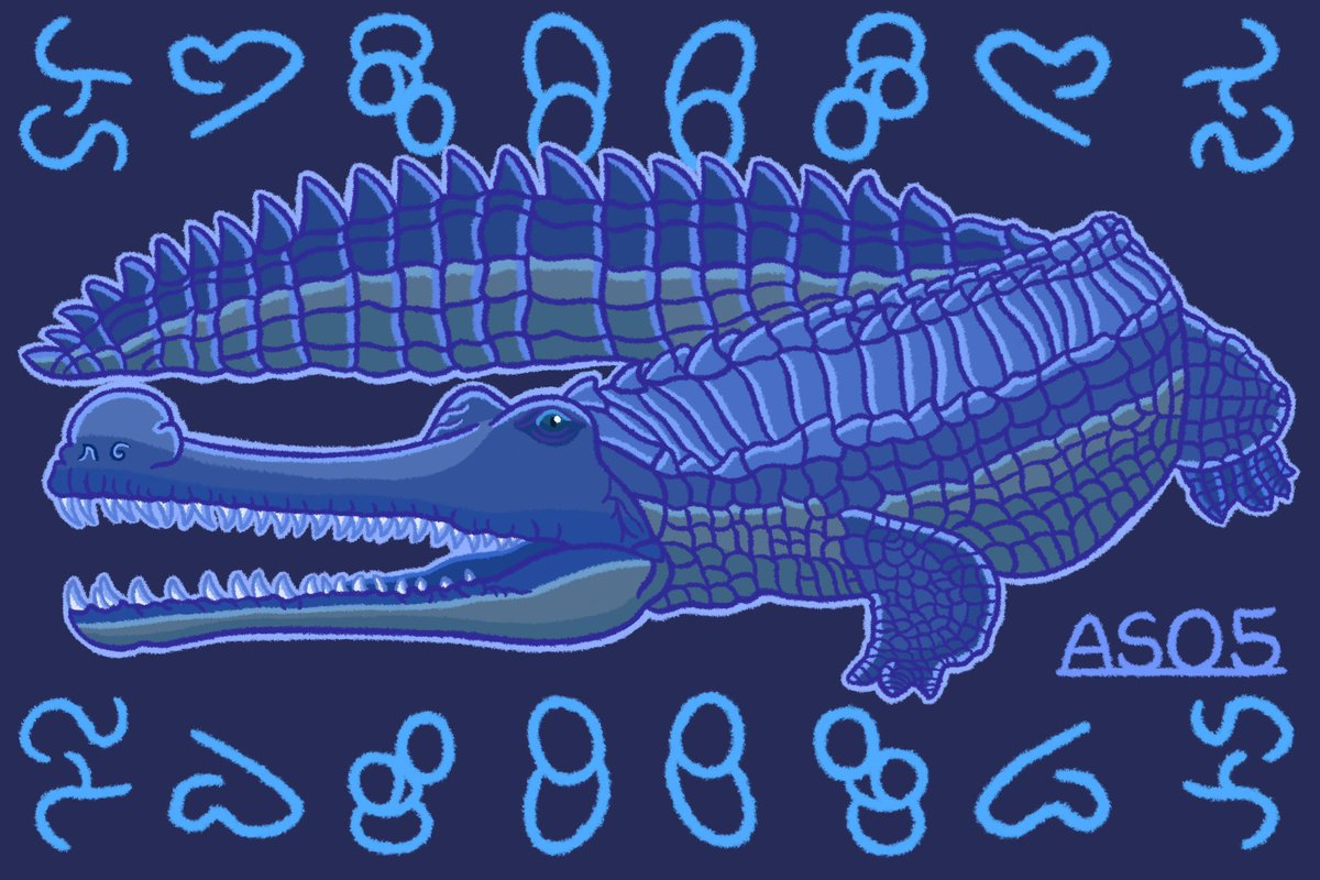Here’s an art of the critically endangered Indian Gharial, one of the world’s most longest crocodilians to which they’re famous for the distinctive snout that resembles a pot known as a “ghara” hence to their name.

💙/🔄s are welcomed!

#ArtistOnTwitter #AnimalArt #AS05