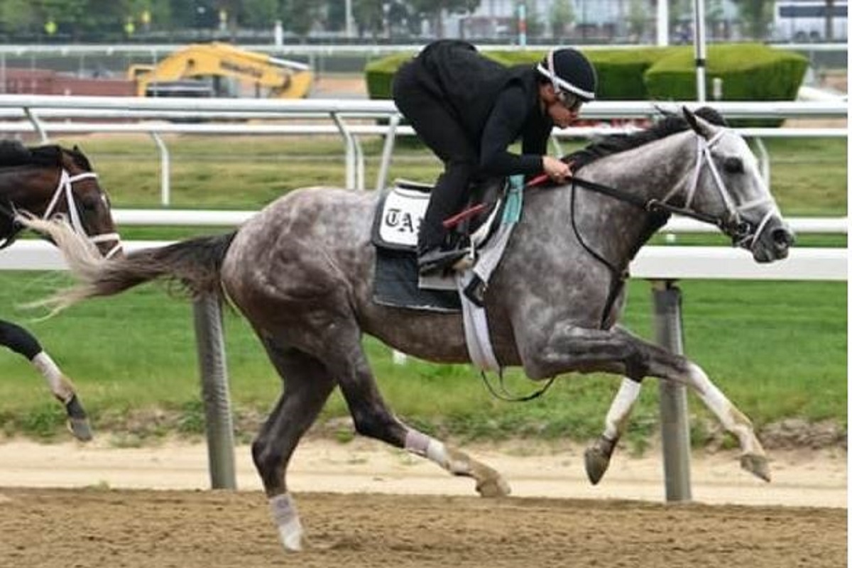 ThePureHorses's tweet image. Electrifying Thursday Worktabs: #TapitTrice, Express Train Lead Stampede of 19 Graded Stakes Titans

thepurehorses.com/electrifying-t…