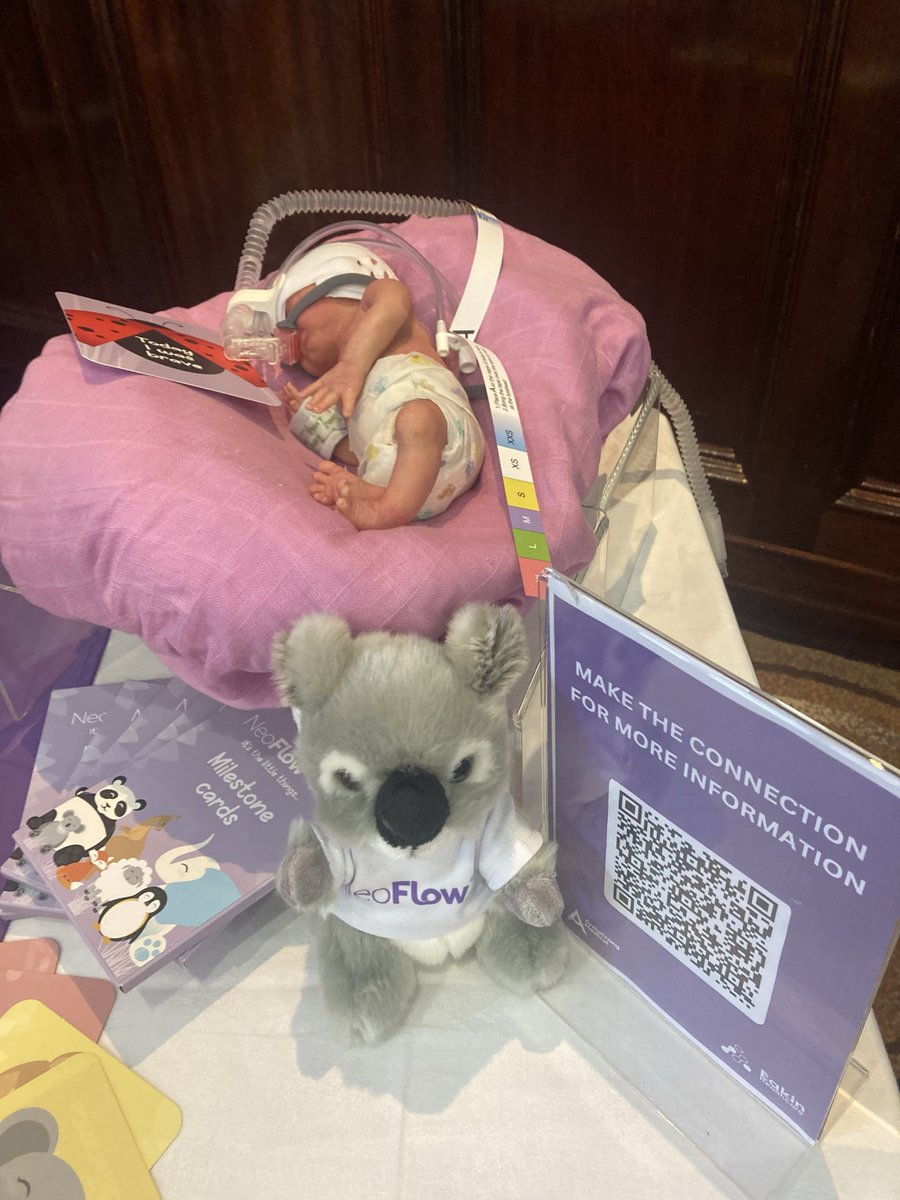 We are at the @NNAUK1 NI Conference, bringing you our NeoFlow® range - designed for the tiniest of patients and the caring hands of neonatal healthcare professionals.

We are excited for a brilliant day ahead, organised by the NI NNA Committee.

#NeonatalNurses @DarbyColm