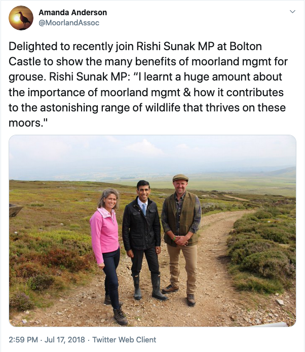 'I learnt a huge amount about the importance of moorland management, and ignored the bit where driven grouse moors - according to my government's own data - have been illegally killing birds of prey for decades.'